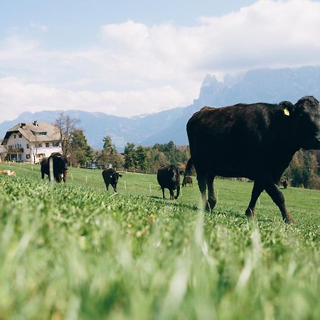 Alpin Farm Linde - Oberweidacherhof Collalbo Exterior photo